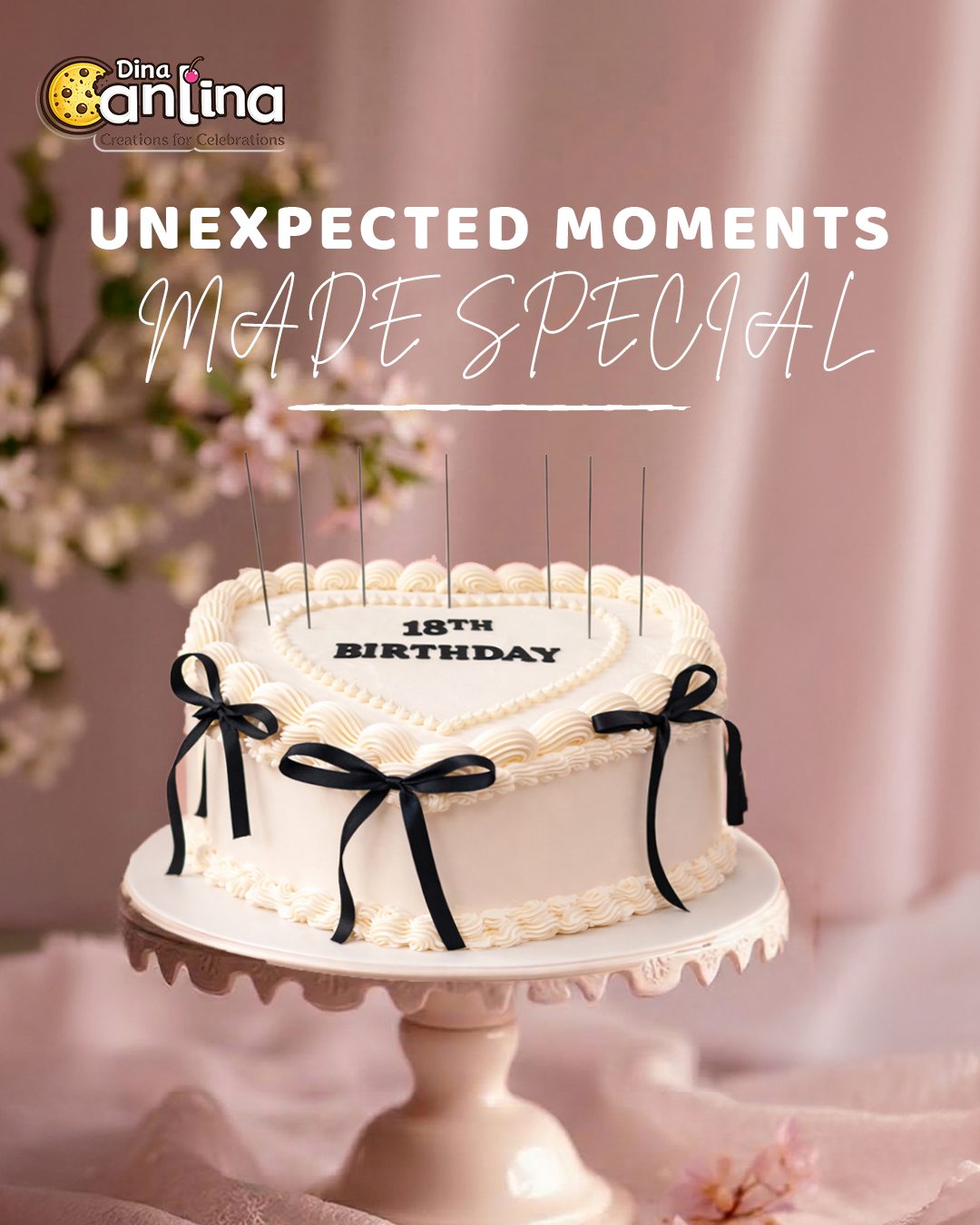 Dina Cantina — Unexpected Moments, Made Special
